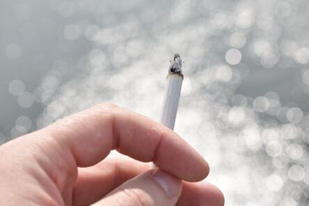 Smoking cigarettes is highly toxic to the human body